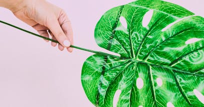 Plastic Free nella cosmetica: le vie del green sono infinite!