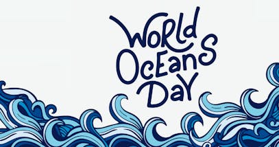 Giornata mondiale degli Oceani 2020: salvaguardare i mari con il riciclo