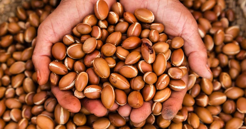 Le proprietà di bellezza dell’olio di argan: come usarlo su pelle e capelli