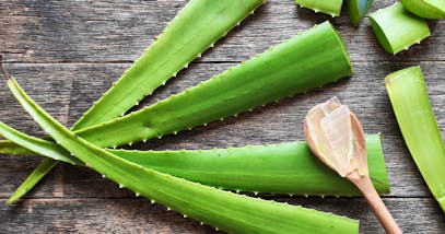 Gli infiniti usi dell’aloe vera: benefici e proprietà