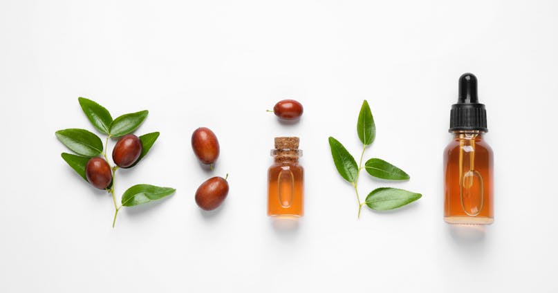 Olio di Jojoba: l’ingrediente beauty che fa miracoli per capelli e viso