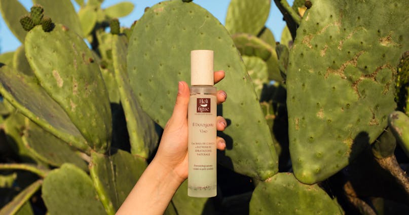 Intervista a Matteo Sforza responsabile e-commerce di helifigue.it