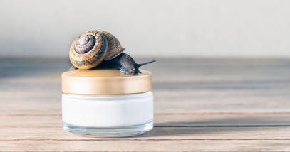 Bava di lumaca: proprietà e tutto quello che c’è da sapere