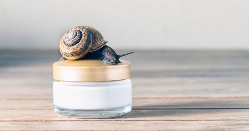 Bava di lumaca: proprietà e tutto quello che c’è da sapere